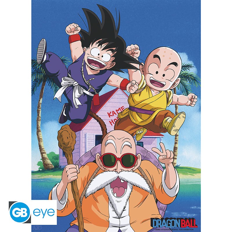 DRAGON BALL Poster Kame Team (52x38cm)