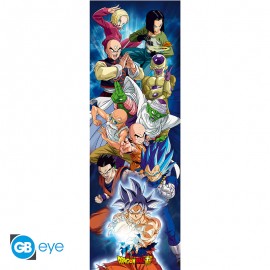 DRAGON BALL SUPER Door Poster Group (53x158cm)