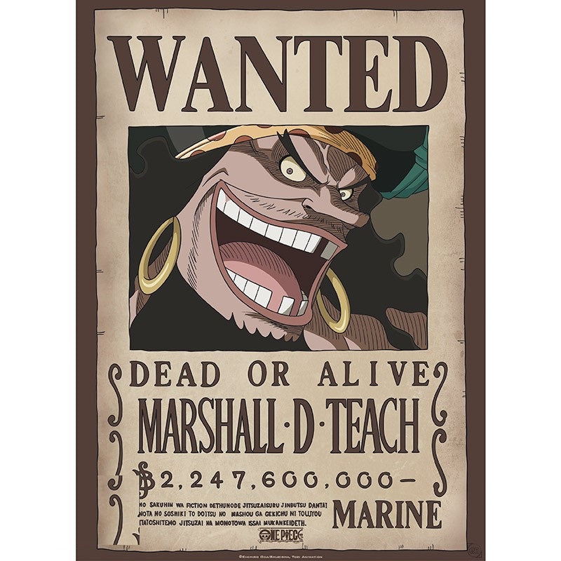 ONE PIECE - Poster Chibi 52x38 - Wanted Blackbeard